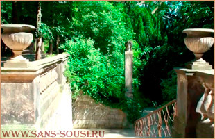 .  -. ,  / www.sans-souci.ru